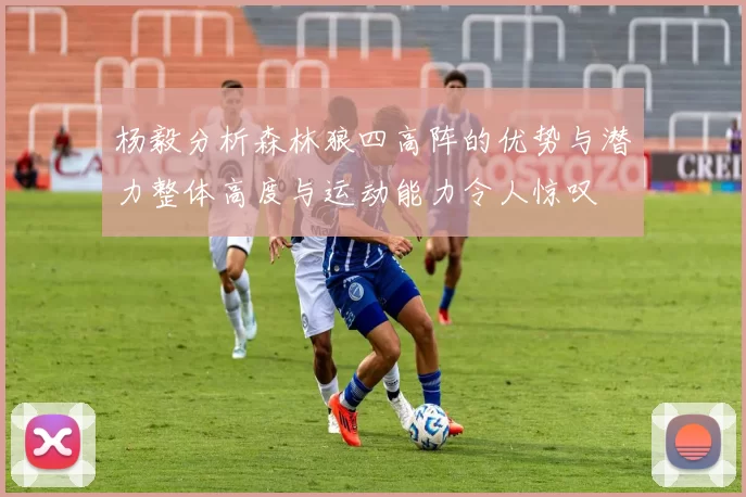 杨毅分析森林狼四高阵的优势与潜力整体高度与运动能力令人惊叹