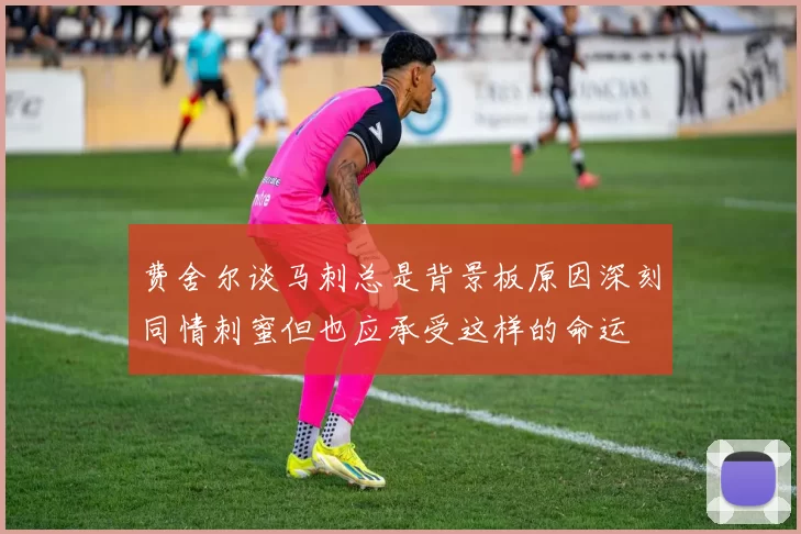 费舍尔谈马刺总是背景板原因深刻同情刺蜜但也应承受这样的命运